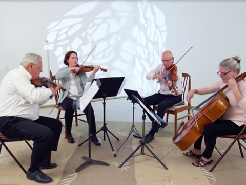 Kalnas String Ensemble