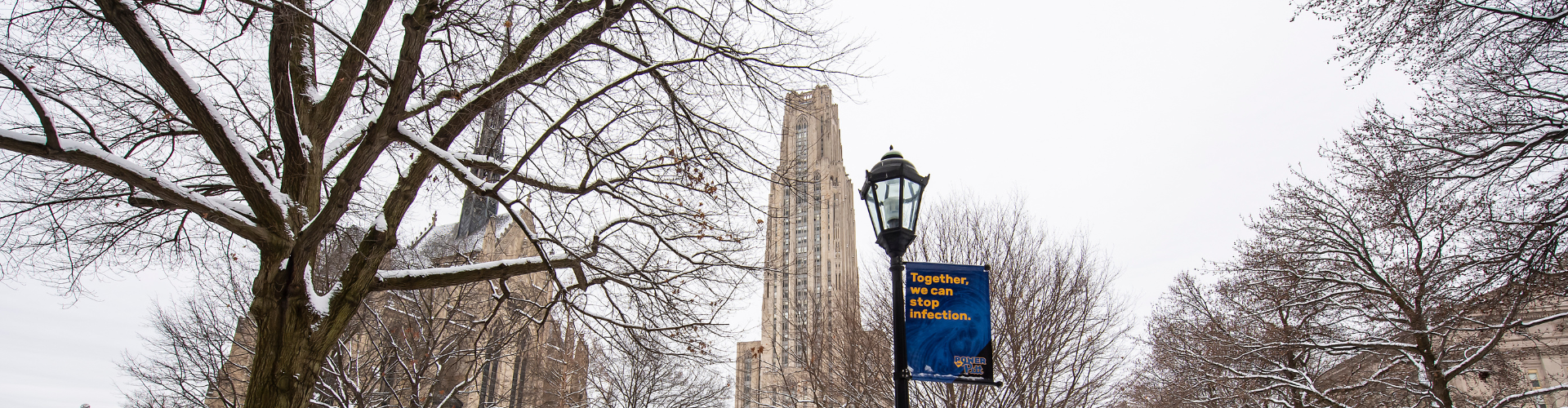 the Cathedral of Learning on a snowy day, with a bare tree and a Pitt banner in the foreground